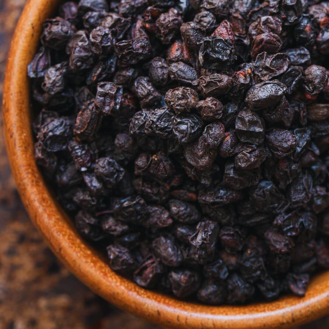 Černý bez – květy a plody